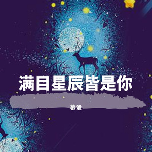 满目星辰皆是你