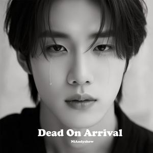 Echoes After the End