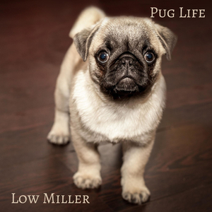 Pug Life