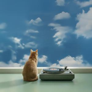 Nothing I Need to Prove