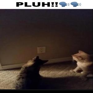 Plug!