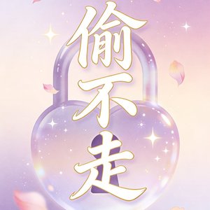 偷不走.wav
