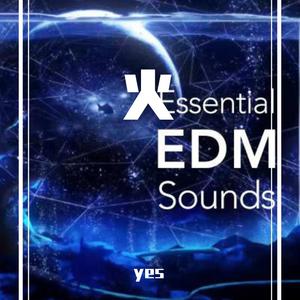 demo - - 输出 - Stereo Out