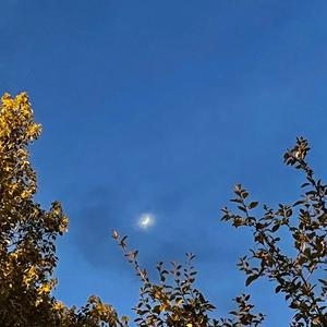 Spring Rain(春夜OST Cover)（翻自 Oscar Dunbar）