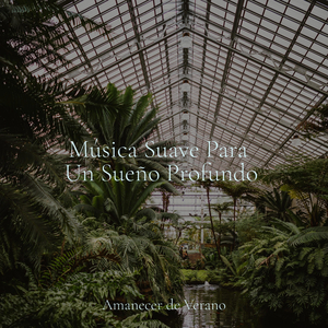 Luminiscencia del sueño