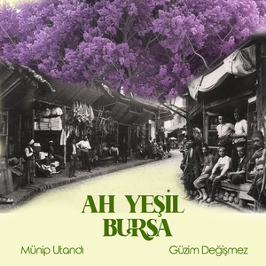 Düşme Yaban Ellerine