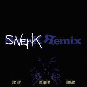 The Wild Night (feat. SnerK, Senbet & Younes) (SnerK Remix)