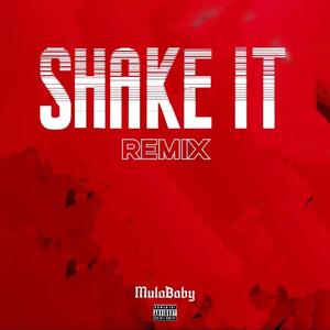 Shake It（MulaBaby remix）