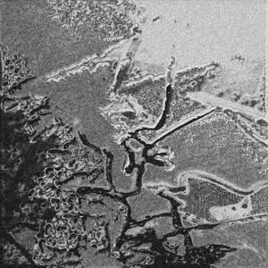 Sauce Chien (feat. Mike Shabb)