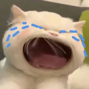 故事的生活里（prod.Echo43）