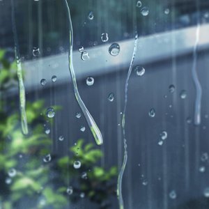 春悄悄-推敲见效版