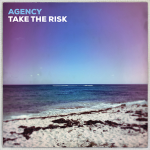 Take The Risk (Original Mix)