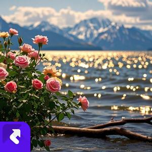 青梅垂柳 (伴奏)