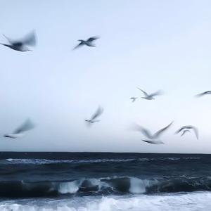 用心良苦 (抒情摇滚版)