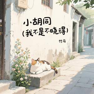 小胡同 (我不是不晓得)