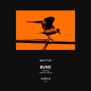 Bune (Triateck Remix)