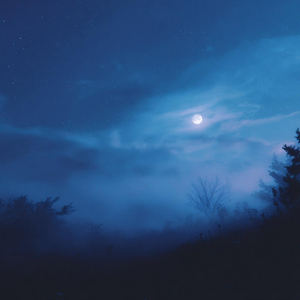 man in the moon (sped up)