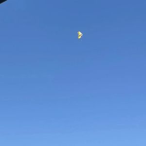 假血FakeBlood-3df34e