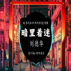 暗里着迷 Dj Vibe13年 抖音完整版本