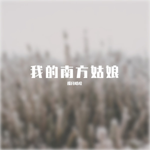 我的南方姑娘