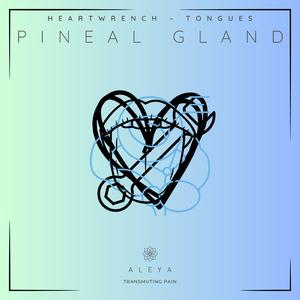 Heartwrench, Tongues, Pineal Gland