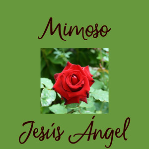 Mimoso