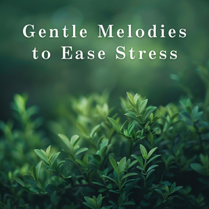 Hues of Inner Harmony