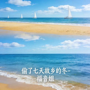 偷了七天故乡的冬 (DJ涵涵版)