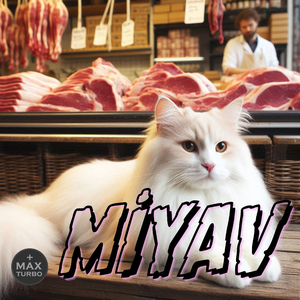 MİYAV