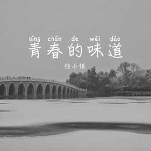 青春的味道
