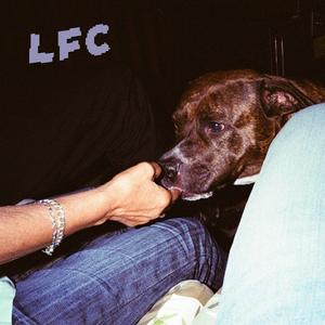 Shoot Pool, Not People