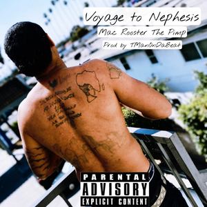 Voyage to Nephesis