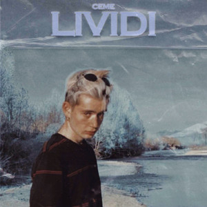 Lividi