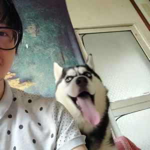 悲伤的我 可怜的狗