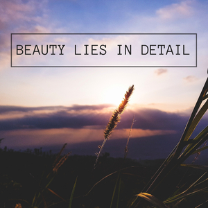 Soundscapes (Spa Songs)