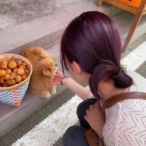 羽仲看心辰（Prod by.4Hunnid）