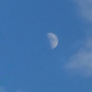 Bonafide Sterling (feat. Lil Beenz)