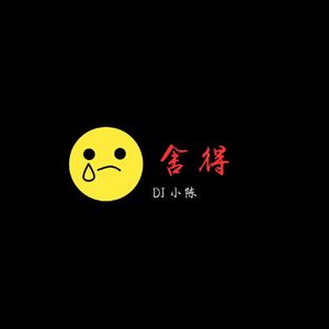 舍得-DJ小陈