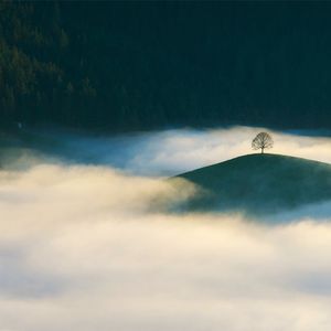 松下问童子