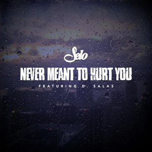 Never Meant to Hurt You (feat. D. Salas)