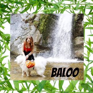BALOO!