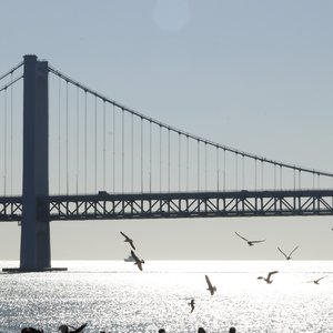 浪漫是和你浪费每个寻常日落