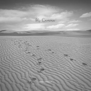Mi Camino