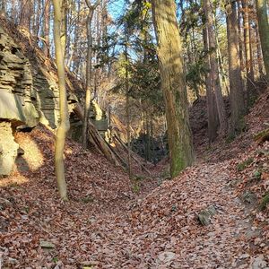 Am Roile Isch Schee