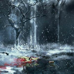 彼岸琉璃花 III 花开花谢