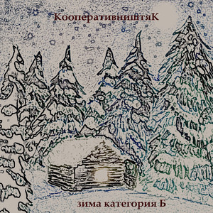 Зима категория б