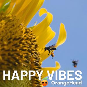 Pocketful of Sunshine