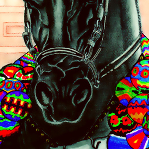 Pregón La Encamisa 2015 (En vivo de Fiestas San Antón 2015)