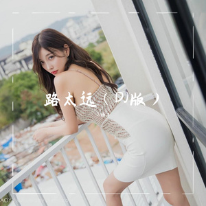 路太远（DJ版）