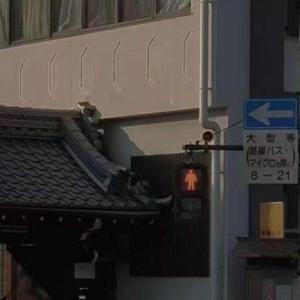 来不及（男声版）